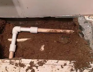 和静测漏水哪家好