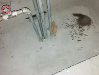 和静卫生间测漏水价格明细