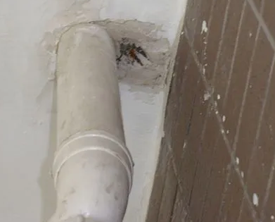 和静漏水检测哪家好